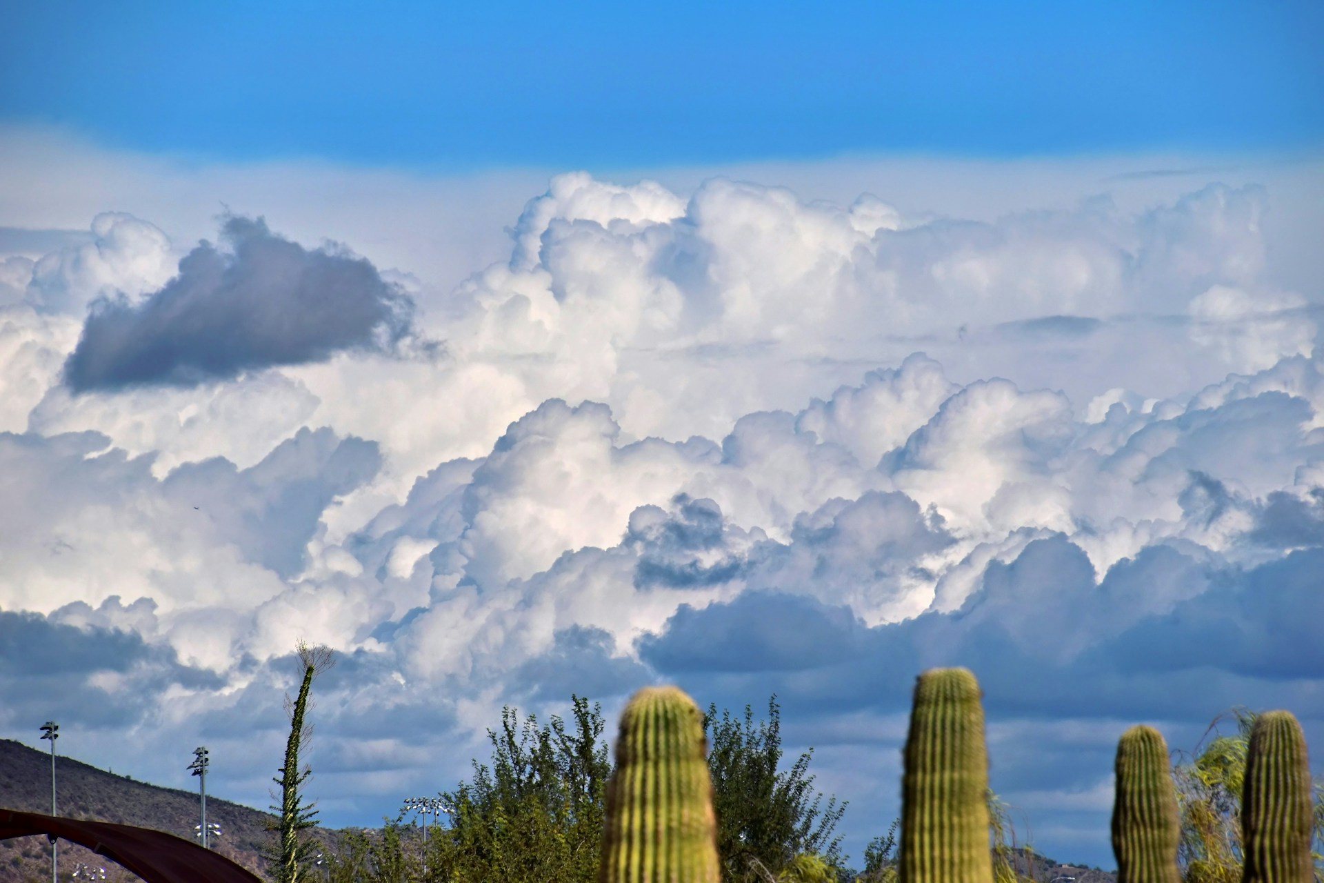 Chandler, Arizona