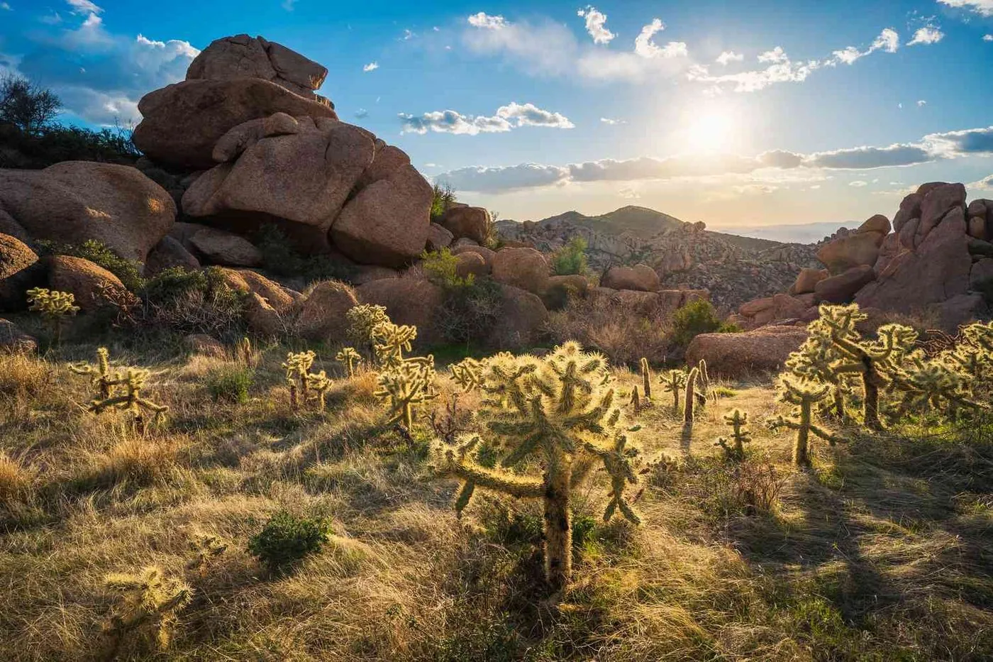 Florence Arizona real estate