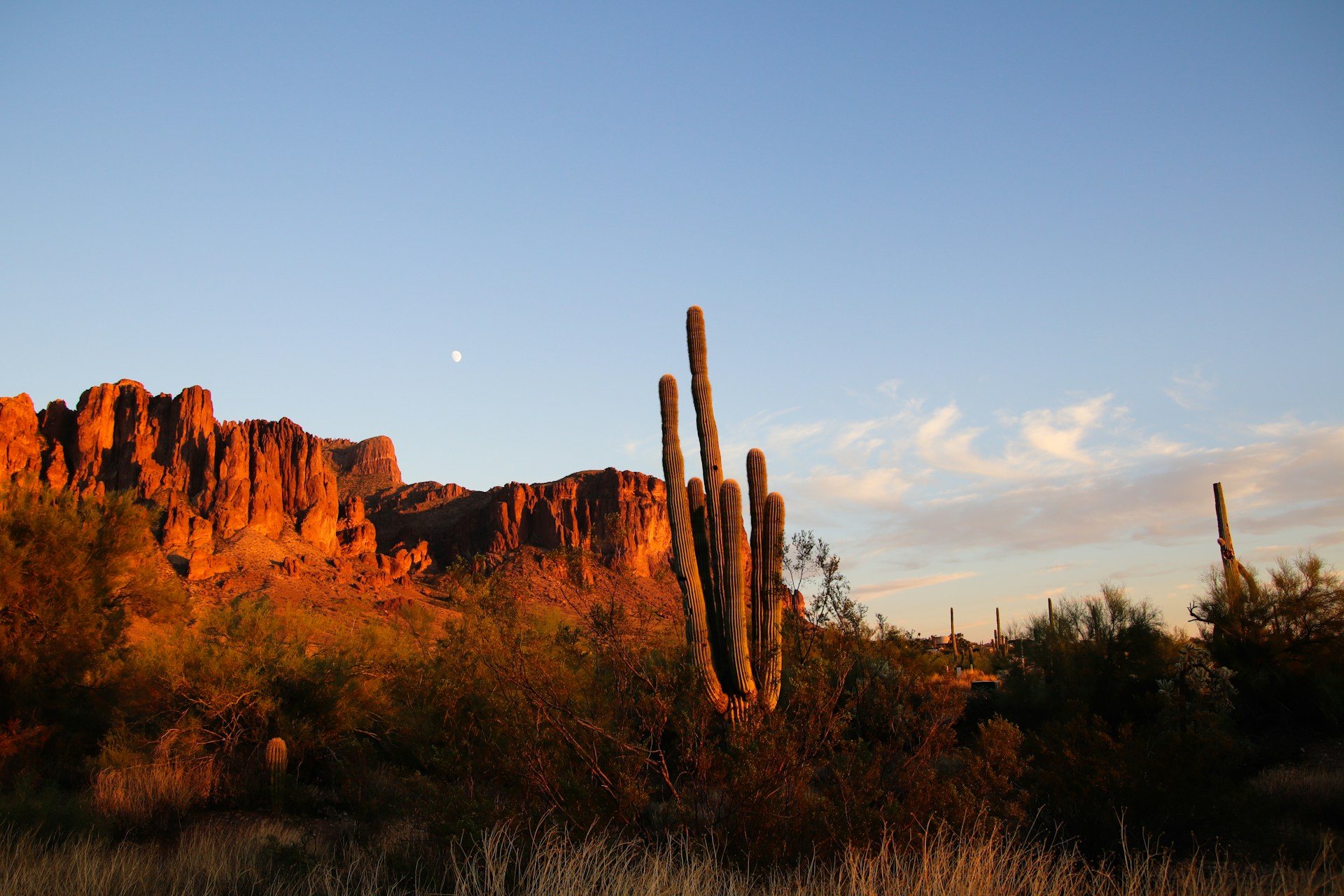 Desert Ridge, Phoenix Arizona