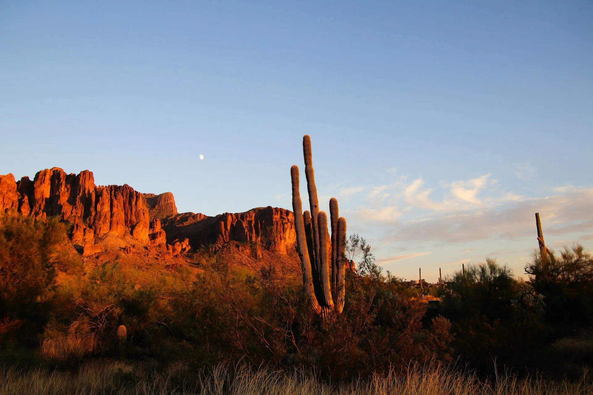 Desert Ridge Arizona real estate