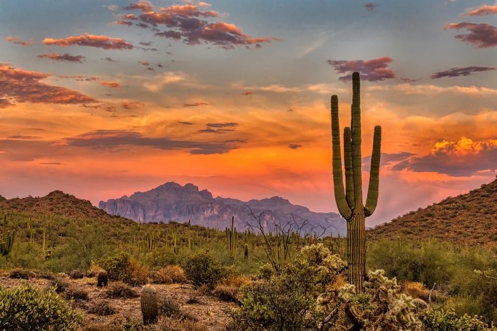 Surprise Arizona real estate
