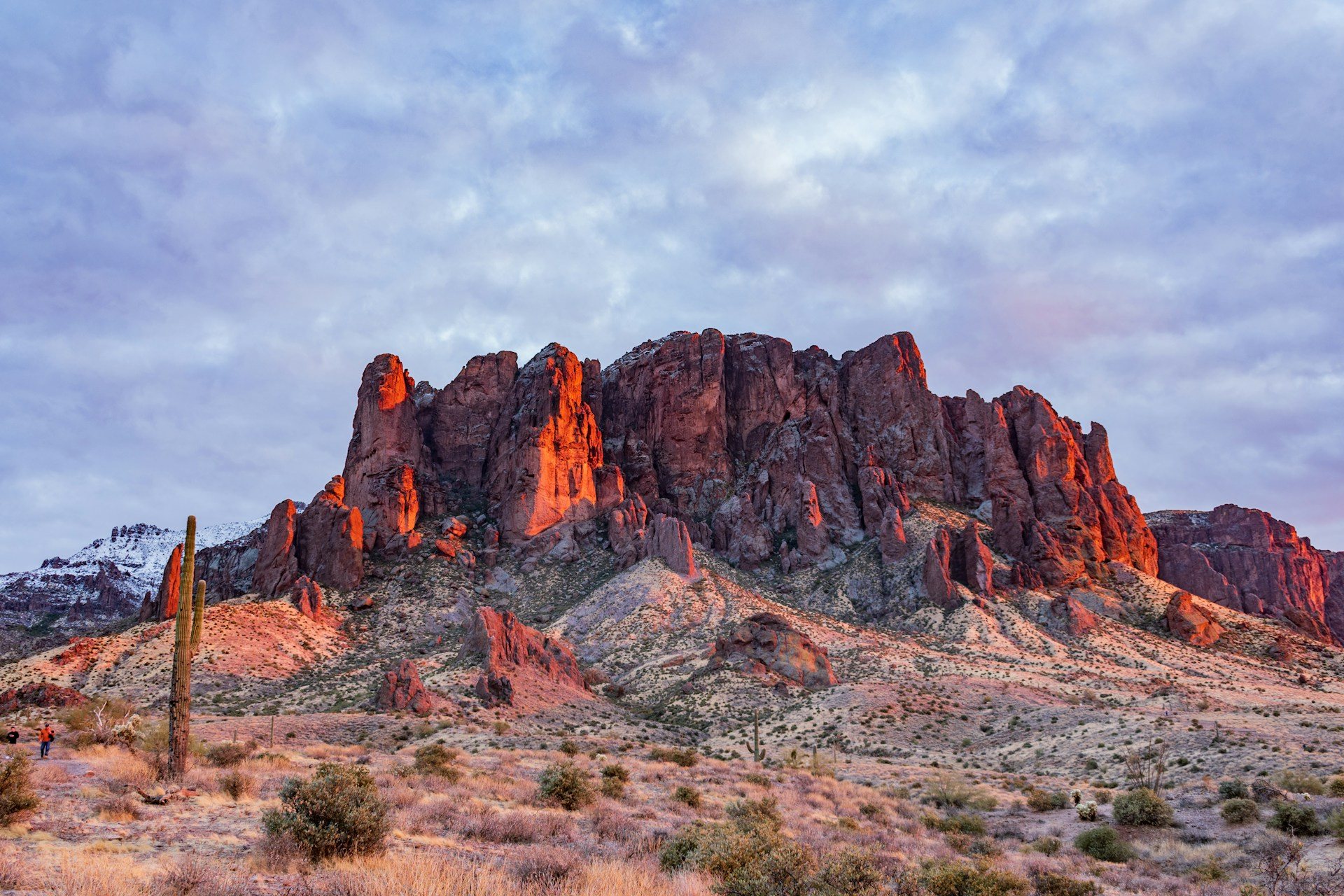 Mesa, Arizona