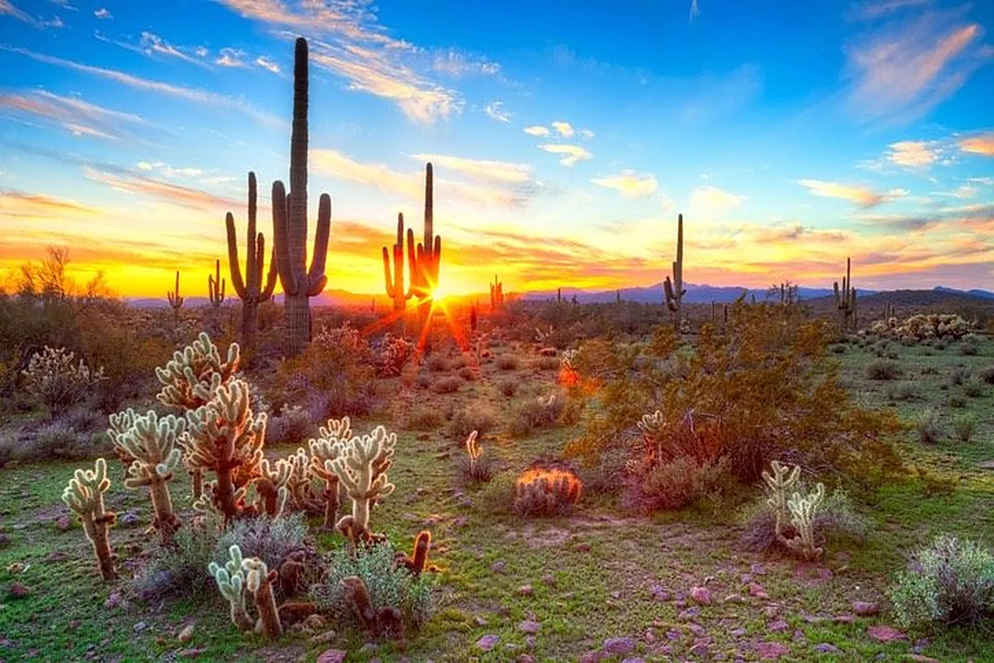 Coolidge Arizona real estate