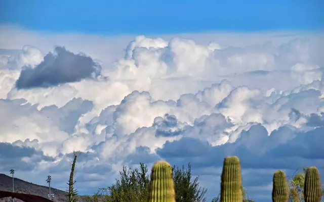 Chandler, Arizona