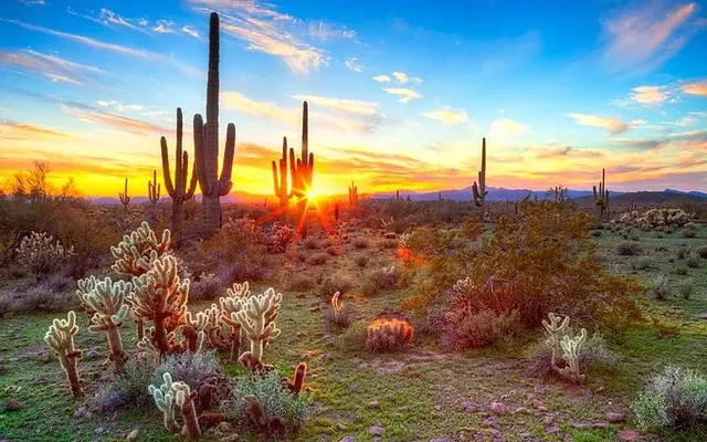 Coolidge, Arizona