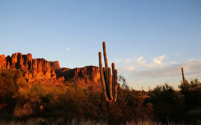 Desert Ridge, Arizona