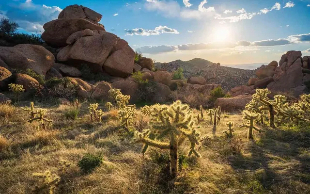 Florence, Arizona